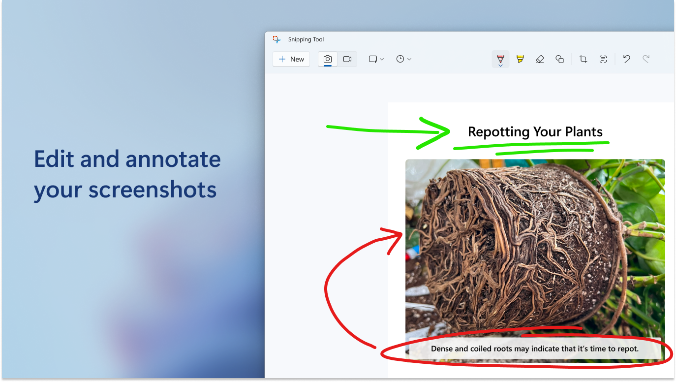 Ink annotation workspace