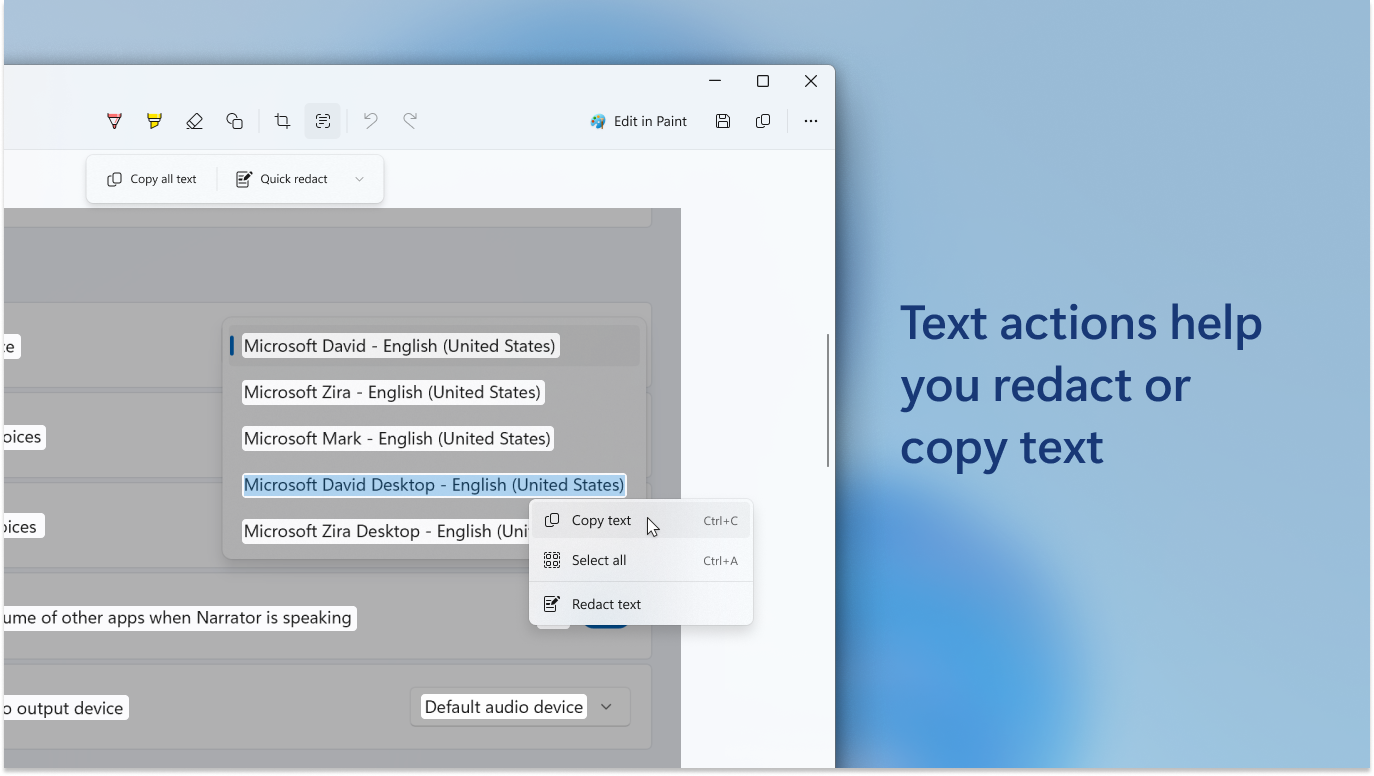 Text actions copy and redact panel